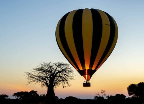 Experience Tanzania Balloon Safaris