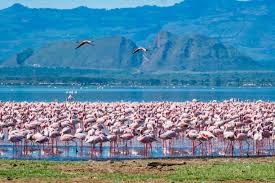 Lake Natron
