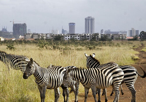 Nairobi National Park